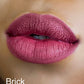 Velvet Matte Liquid Lipstick