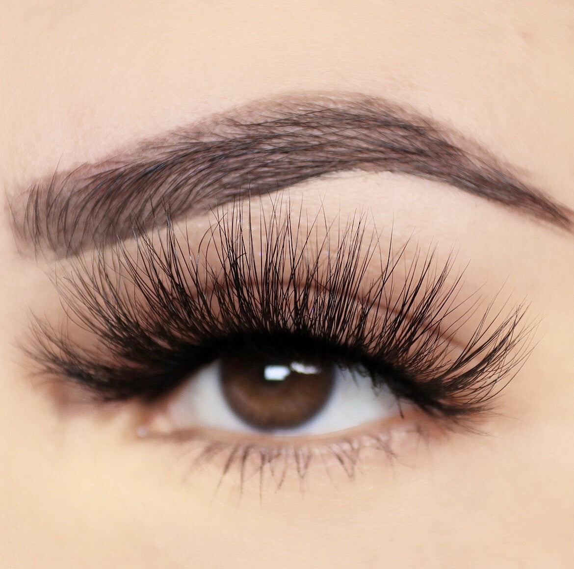 Sassy - Dani B Beauty